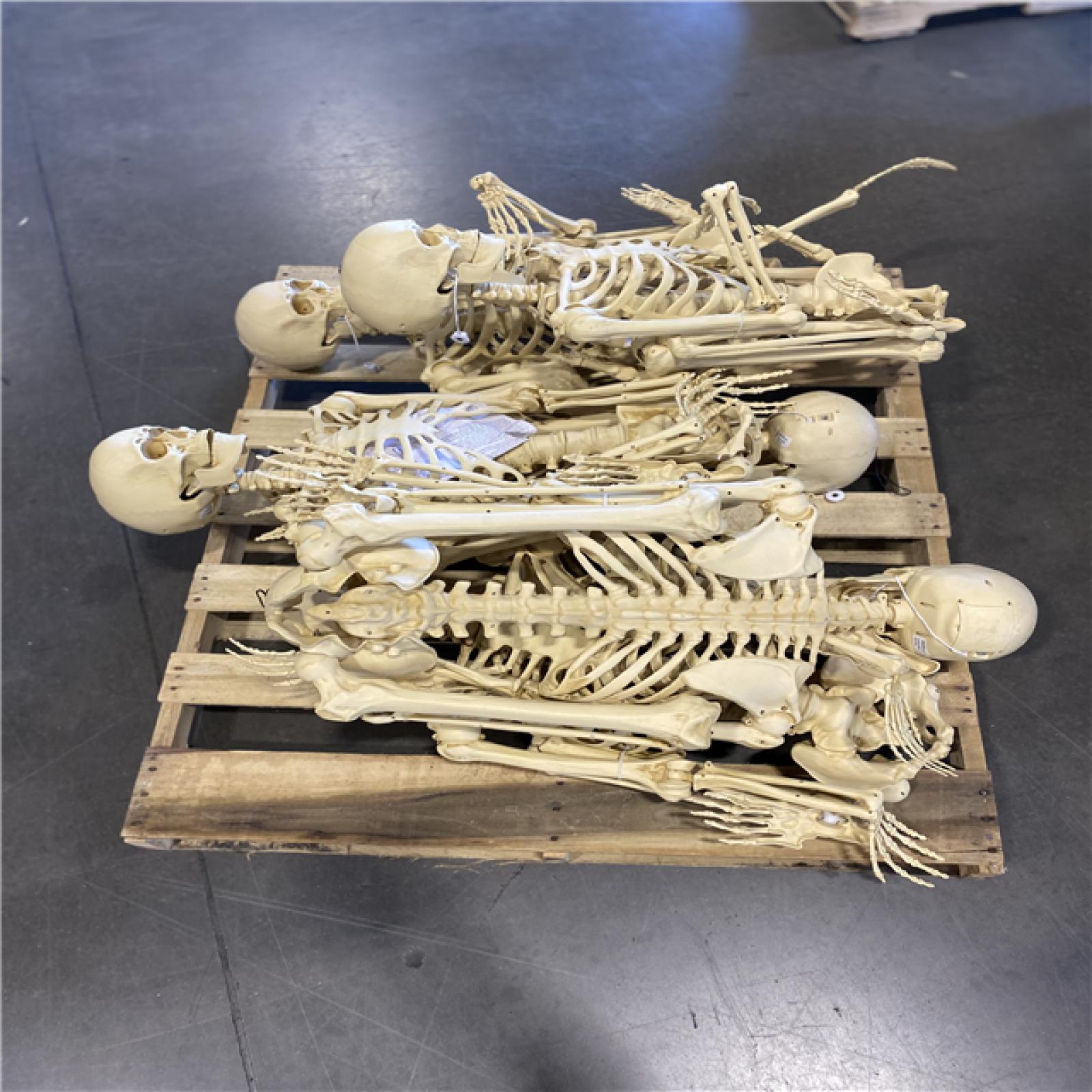 DALLAS LOCATION - LED SKELETON SET OF 6