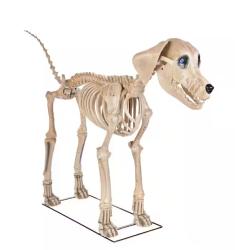 DALLAS LOCATION - Home Accents Holiday 7 ft. Skelly's Dog