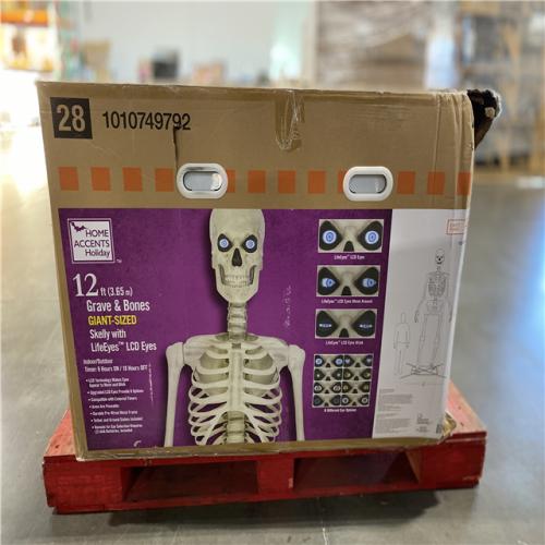 DALLAS LOCATION - Home Accents Holiday 12 ft. Giant-Sized Skelly