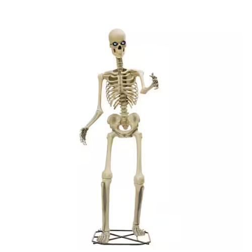 DALLAS LOCATION - Home Accents Holiday 12 ft. Servo Skelly